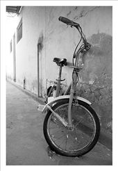 Old & Rusty Bike sitting in the porch of my husband's grandmothers house. : by diana, Views[475]