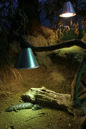 London Zoo Reptile House