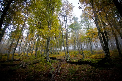 Mystique - magic surrounds us all