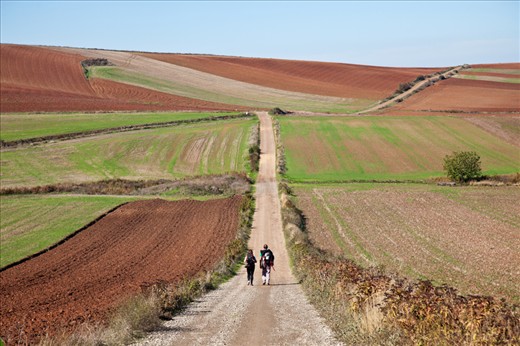 Buen Camino - the Way of St James, a journey of uplift