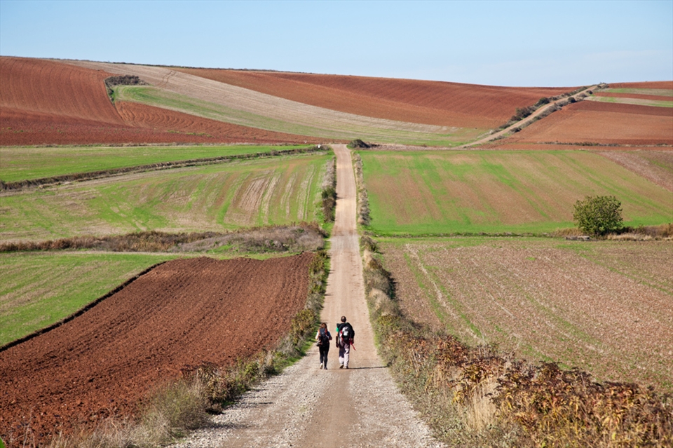 Buen Camino - the Way of St James, a journey of uplift