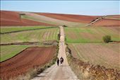 Buen Camino - the Way of St James, a journey of uplift: by dianerobertson, Views[902]