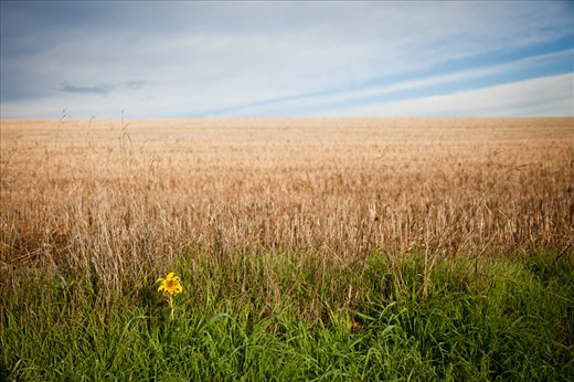 Beauty - on your journey it is every step of the way