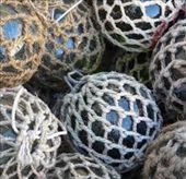 by diannamarie, Views[159]