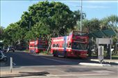 Hop on and off bus Darwin: by dianne_peter, Views[283]