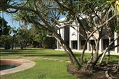 Darwin: by dianne_peter, Views[224]