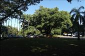 Bennett Park: by dianne_peter, Views[273]