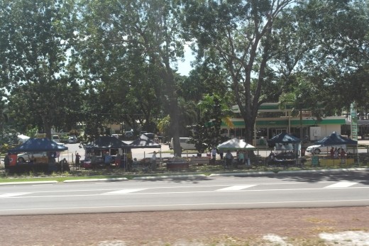 View from train Adelaide River Market
