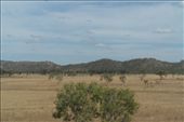 Ant mounds: by dianne_peter, Views[242]