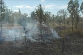 controlled burn off: by dianne_peter, Views[287]