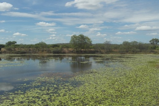 New lakes after the rain