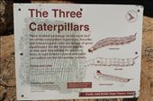 The Three Caterpillars Rock Art: by dianne_peter, Views[181]