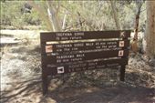 Trephine Gorge where we did the attempt of dry river bed driving.: by dianne_peter, Views[185]