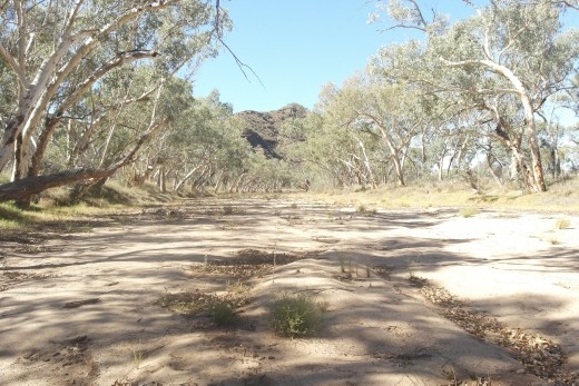 Maybe just not today !!