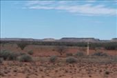 Mt Connor which is larger than Uluru: by dianne_peter, Views[138]