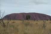 Uluru : by dianne_peter, Views[102]