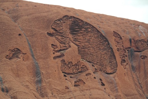 I like this part of the rock as it reminds my of a brain...