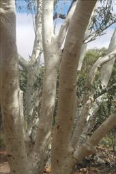 by dianne_peter, Views[148]