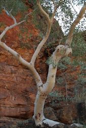 by dianne_peter, Views[95]