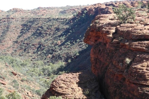 looking down the canyon