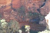 waterfall (I was hanging over the cliff to take this) and Pete hanging onto my jacket !!!: by dianne_peter, Views[118]