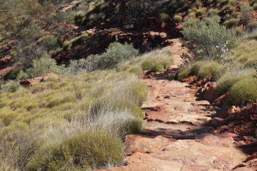 A welcome site the last of the steps down...