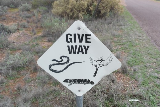 Not a sign you see everyday....