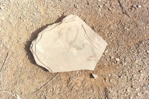 A rock I found that I thought looked like OZ 