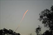 Not sure what I captured here.: by dianne_peter, Views[85]