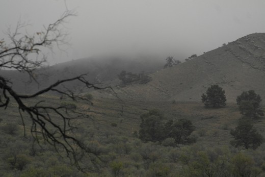 Mist coming down the hill..