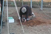 Caretaker trying to fix the problem.: by dianne_peter, Views[113]
