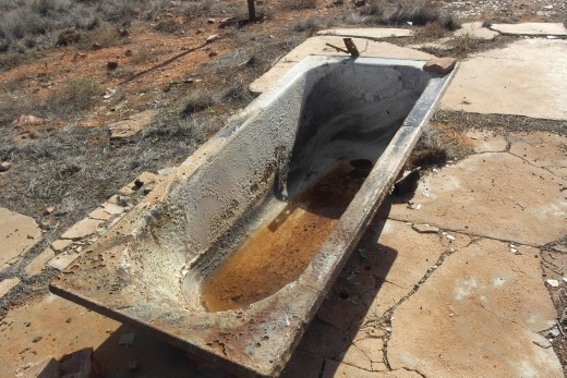 Anyone fancy a bath ???