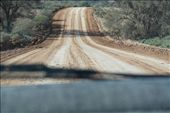 The road into the Gorge.: by dianne_peter, Views[126]