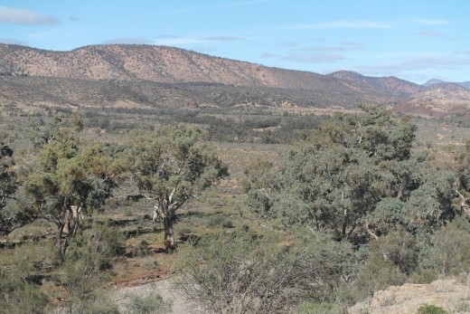 Looking down into Brachina Gorge