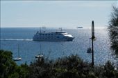 Sorrento Ferry: by dianne_peter, Views[264]