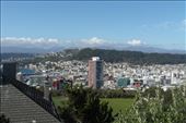 View of Wellington: by dianne_peter, Views[160]