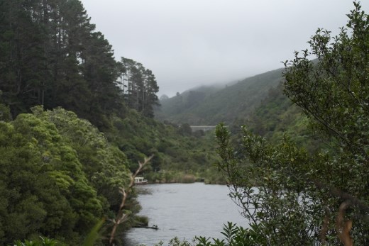 Zealandia