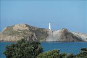 Castlepoint...: by dianne_peter, Views[131]