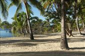 wanavu : by dianne_peter, Views[189]