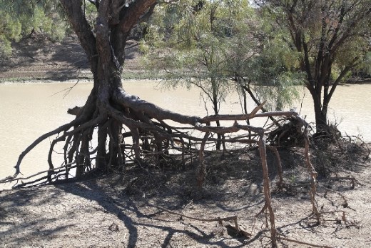 Well out of the water.