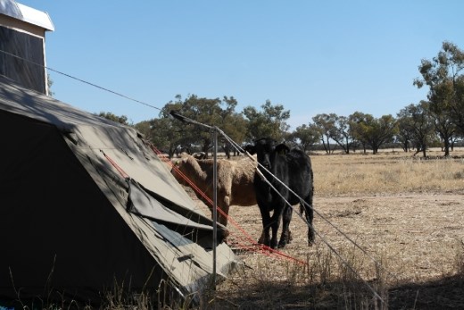 Checking out my en-suite..