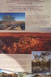 by dianne_peter, Views[141]