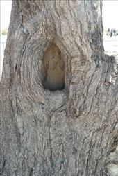 by dianne_peter, Views[190]