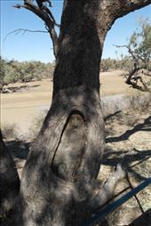 by dianne_peter, Views[130]