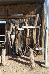 by dianne_peter, Views[129]