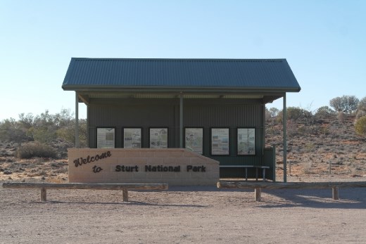 crossing the Strzelecki 