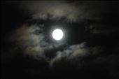 Super Moon last night: by dianne_peter, Views[275]