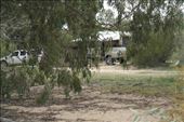 Camp site Menindee: by dianne_peter, Views[234]