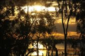 Love this time of night.: by dianne_peter, Views[230]