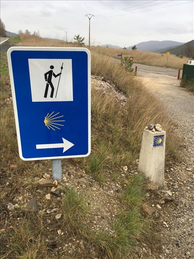 Many signs to follow.